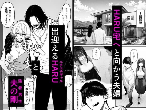 静と良助がHARU夫婦の家を訪れ、白髪のHARUと長髪の剛に玄関で迎えられる